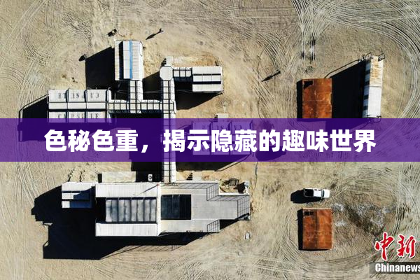 色秘色重，揭示隐藏的趣味世界