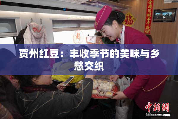 贺州红豆：丰收季节的美味与乡愁交织
