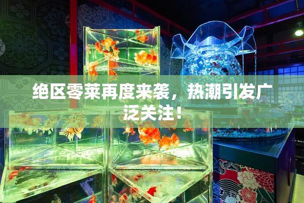 绝区零莱再度来袭，热潮引发广泛关注！