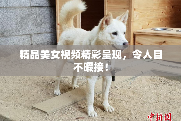 精品美女视频精彩呈现，令人目不暇接！
