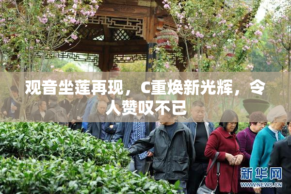观音坐莲再现，C重焕新光辉，令人赞叹不已