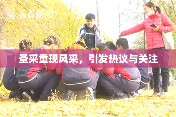 圣采重现风采，引发热议与关注