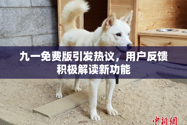 九一免费版引发热议，用户反馈积极解读新功能