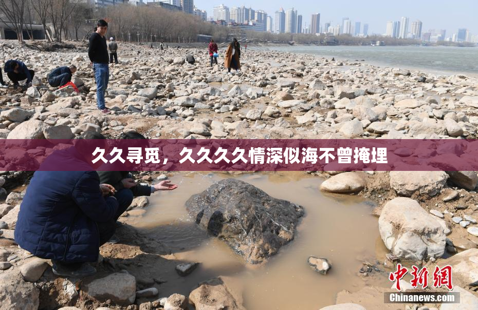 久久寻觅，久久久久情深似海不曾掩埋
