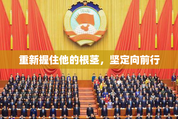 重新握住他的根茎，坚定向前行