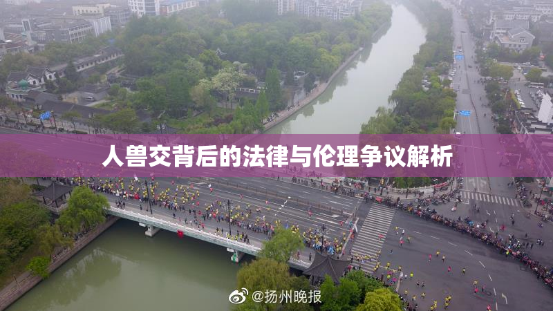 人兽交背后的法律与伦理争议解析