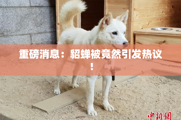 重磅消息：貂蝉被竟然引发热议！