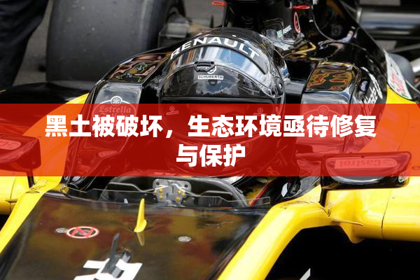 黑土被破坏，生态环境亟待修复与保护