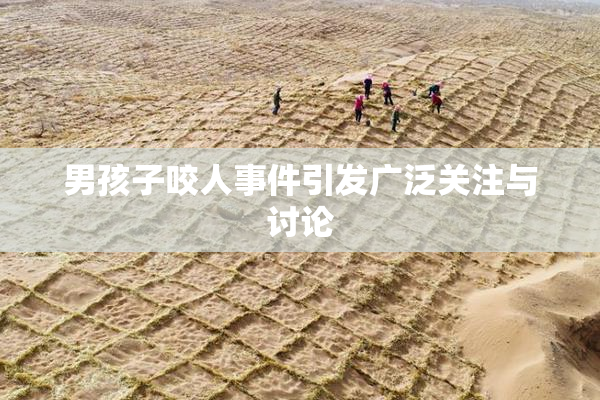 男孩子咬人事件引发广泛关注与讨论