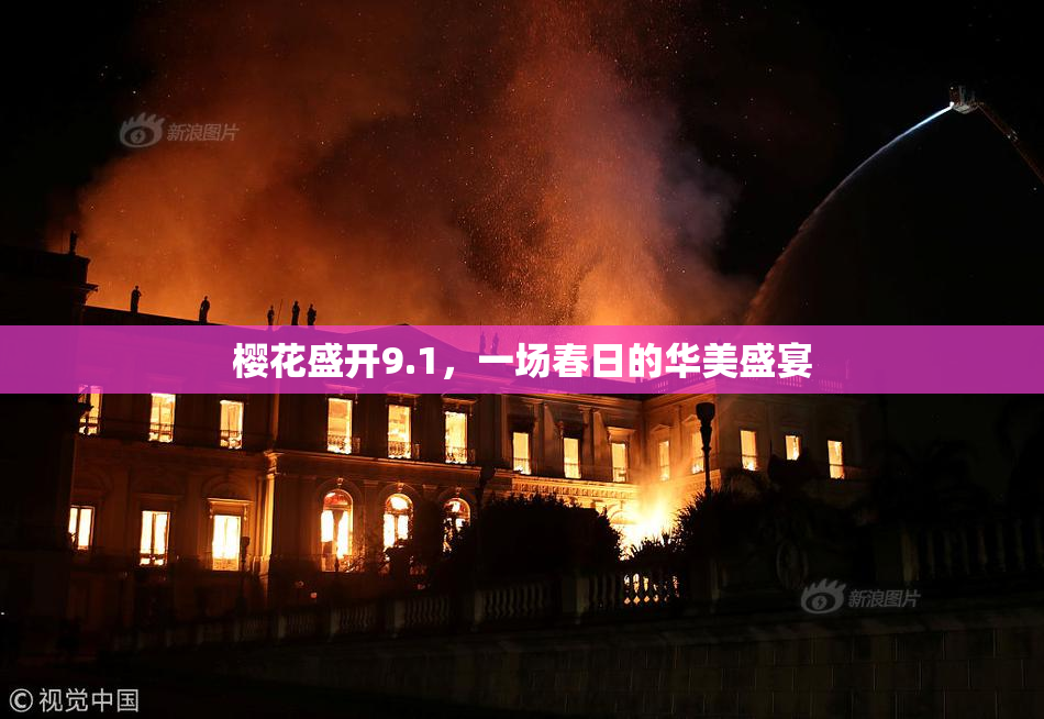 樱花盛开9.1，一场春日的华美盛宴