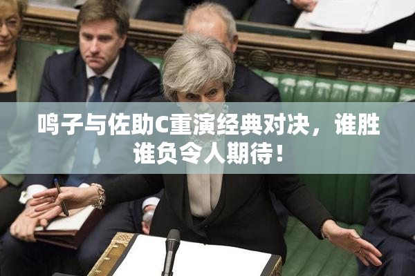 鸣子与佐助C重演经典对决，谁胜谁负令人期待！