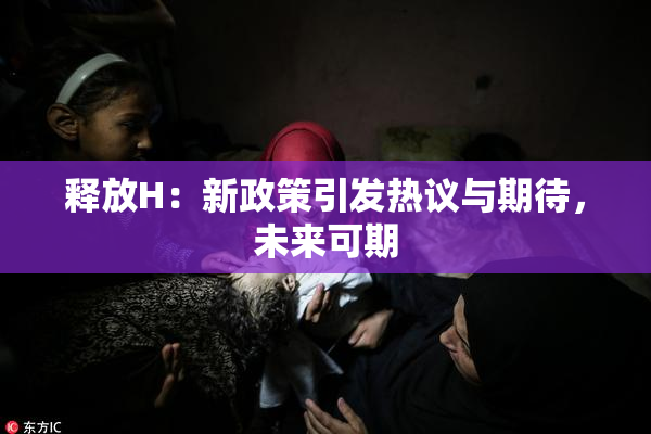 释放H：新政策引发热议与期待，未来可期