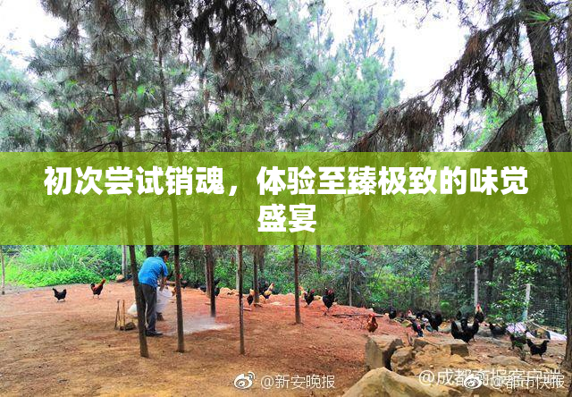 初次尝试销魂，体验至臻极致的味觉盛宴