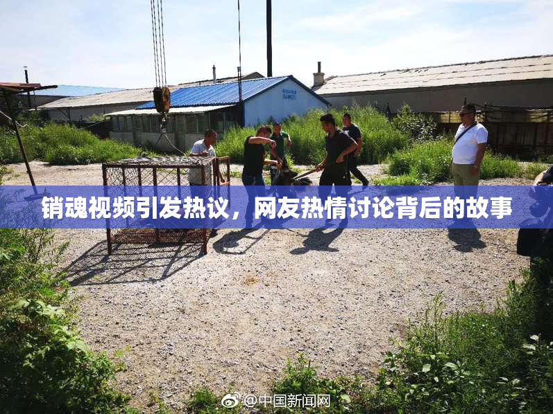 销魂视频引发热议，网友热情讨论背后的故事