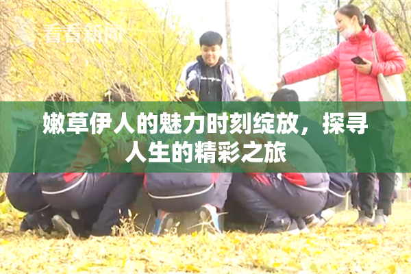 嫩草伊人的魅力时刻绽放，探寻人生的精彩之旅