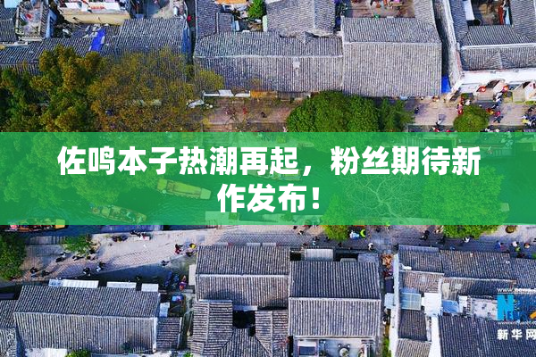 佐鸣本子热潮再起，粉丝期待新作发布！