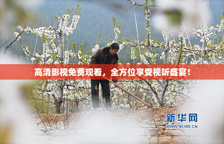 高清影视免费观看，全方位享受视听盛宴！