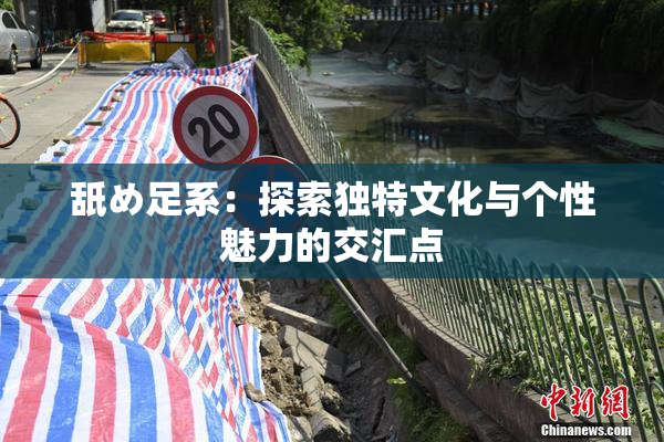 舐め足系：探索独特文化与个性魅力的交汇点