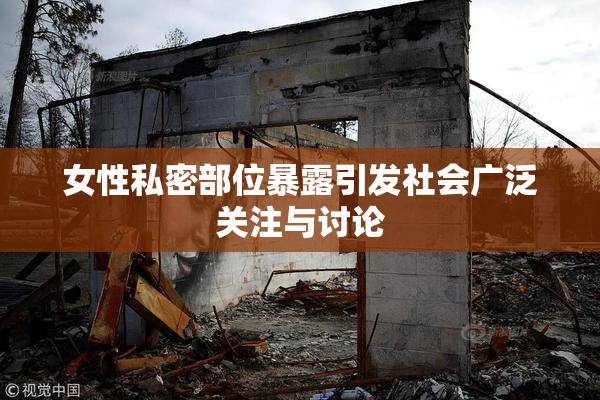女性私密部位暴露引发社会广泛关注与讨论