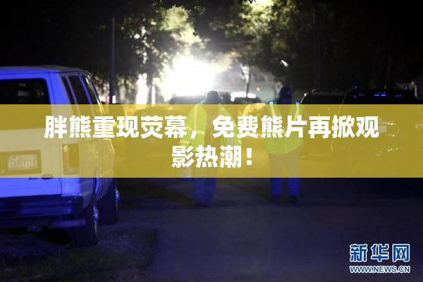 胖熊重现荧幕，免费熊片再掀观影热潮！