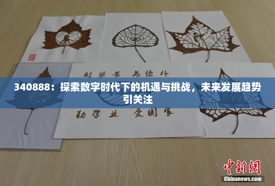 340888：探索数字时代下的机遇与挑战，未来发展趋势引关注