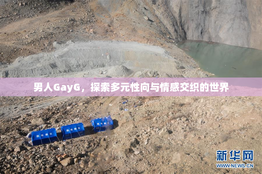 男人GayG，探索多元性向与情感交织的世界