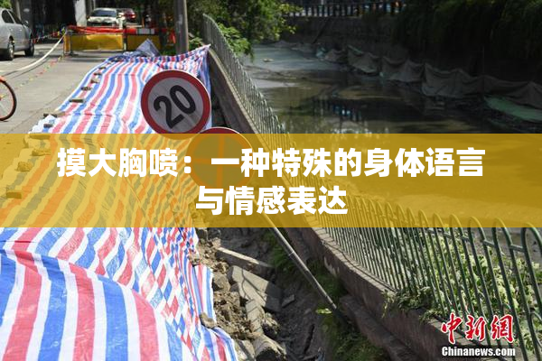 摸大胸喷：一种特殊的身体语言与情感表达