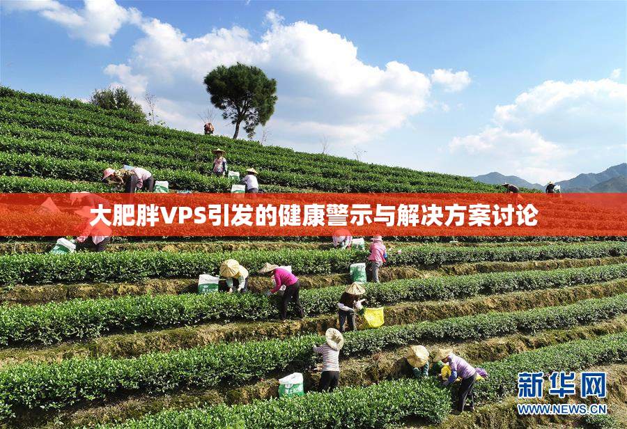 大肥胖VPS引发的健康警示与解决方案讨论