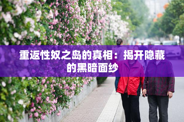重返性奴之岛的真相：揭开隐藏的黑暗面纱