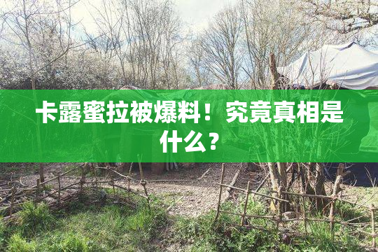 卡露蜜拉被爆料！究竟真相是什么？