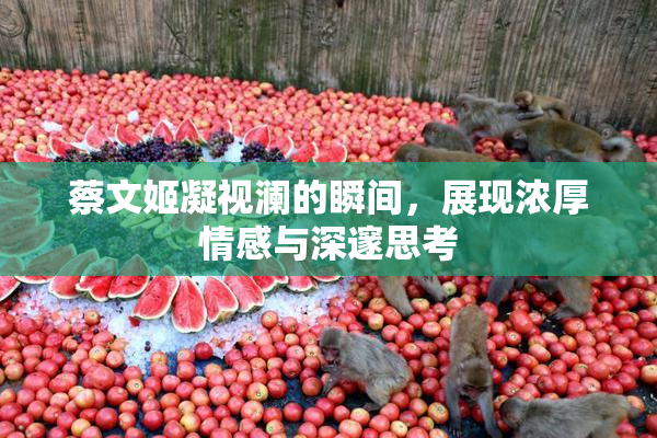 蔡文姬凝视澜的瞬间，展现浓厚情感与深邃思考