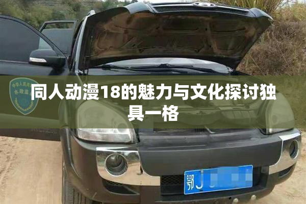 同人动漫18的魅力与文化探讨独具一格