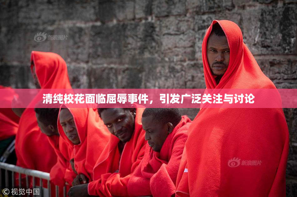 清纯校花面临屈辱事件，引发广泛关注与讨论