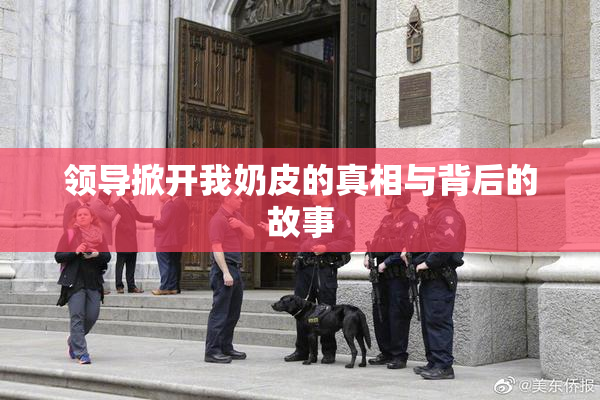 领导掀开我奶皮的真相与背后的故事