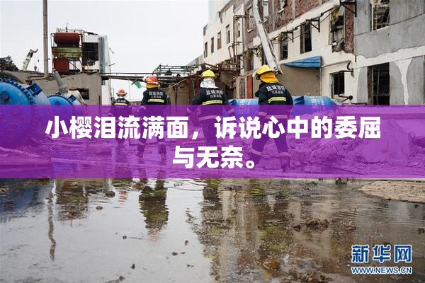 小樱泪流满面，诉说心中的委屈与无奈。