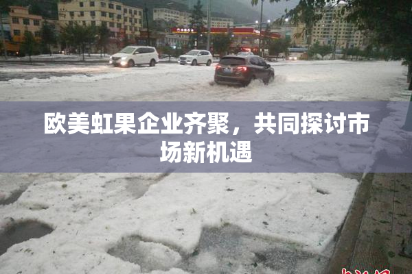欧美虹果企业齐聚，共同探讨市场新机遇