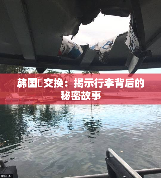 韩国巜交换：揭示行李背后的秘密故事