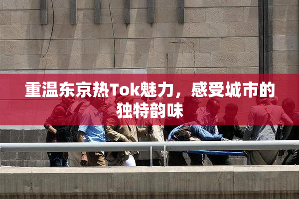 重温东京热Tok魅力，感受城市的独特韵味