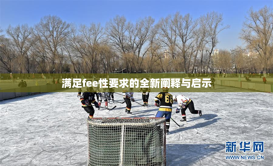 满足fee性要求的全新阐释与启示