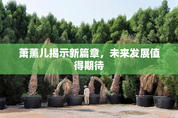 萧薰儿揭示新篇章，未来发展值得期待