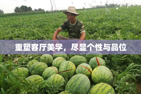 重塑客厅美学，尽显个性与品位