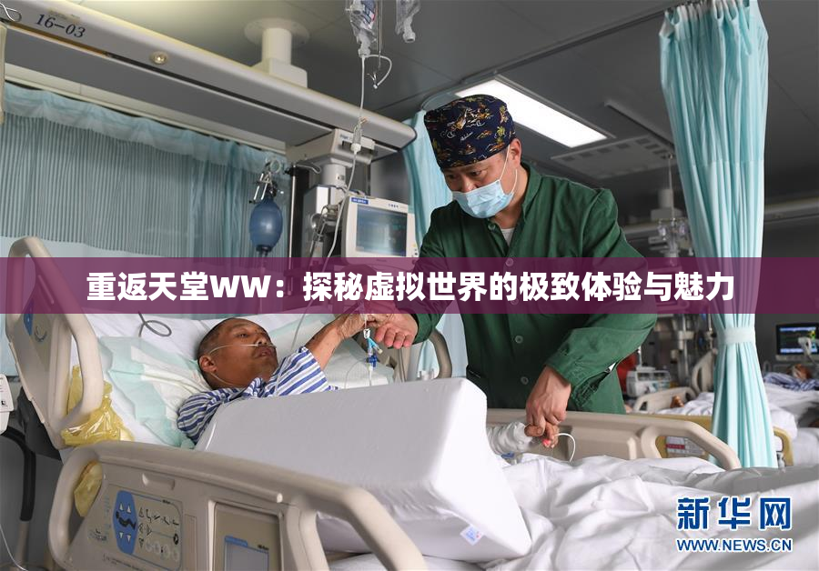 重返天堂WW：探秘虚拟世界的极致体验与魅力