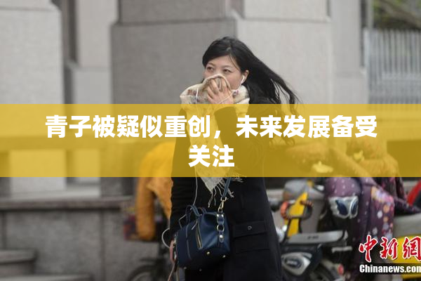 青子被疑似重创，未来发展备受关注