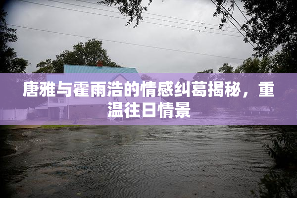 唐雅与霍雨浩的情感纠葛揭秘，重温往日情景