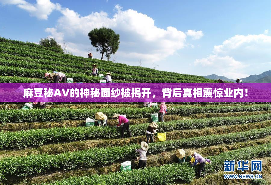 麻豆秘AV的神秘面纱被揭开，背后真相震惊业内！