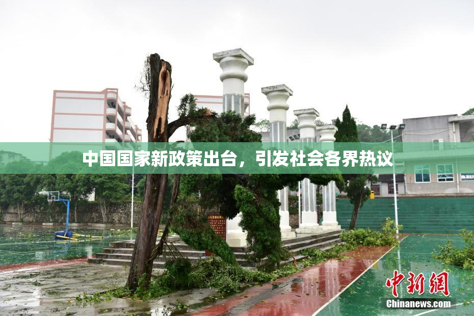 中国国家新政策出台，引发社会各界热议
