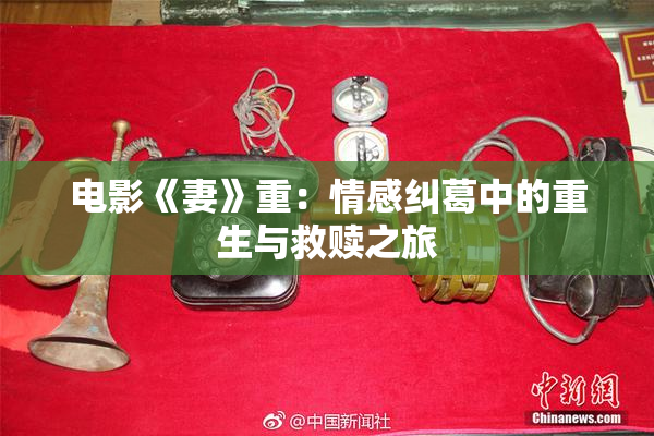 电影《妻》重：情感纠葛中的重生与救赎之旅