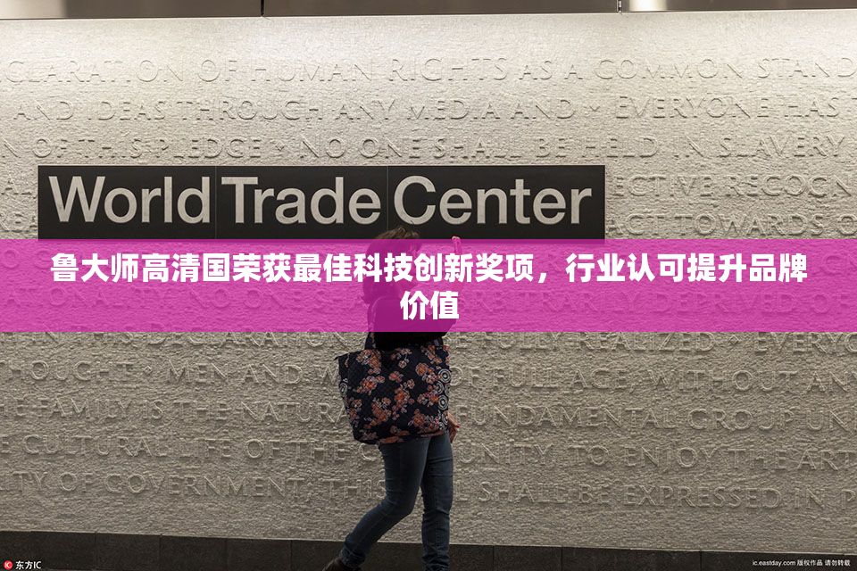 鲁大师高清国荣获最佳科技创新奖项，行业认可提升品牌价值
