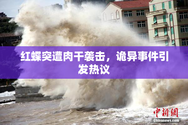 红蝶突遭肉干袭击，诡异事件引发热议