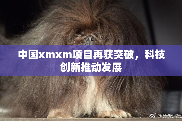 中国xmxm项目再获突破，科技创新推动发展